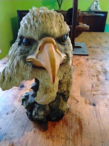 Eagle head bust - eagle,
