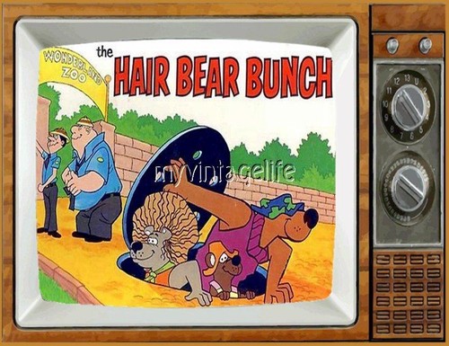 The hair bear - hair, fridge