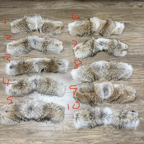 Canada goose fur trim new - goose, *new