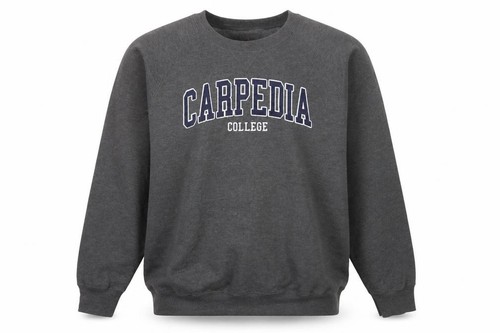 Hanes mens pullover - hanes,