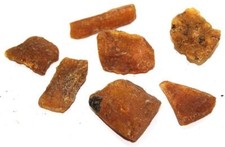 Amber Collection Set Gdansk