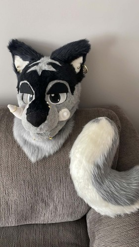 Wolf thing fursuit - wolf,