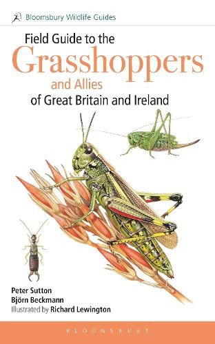 Field guide the - guide, to