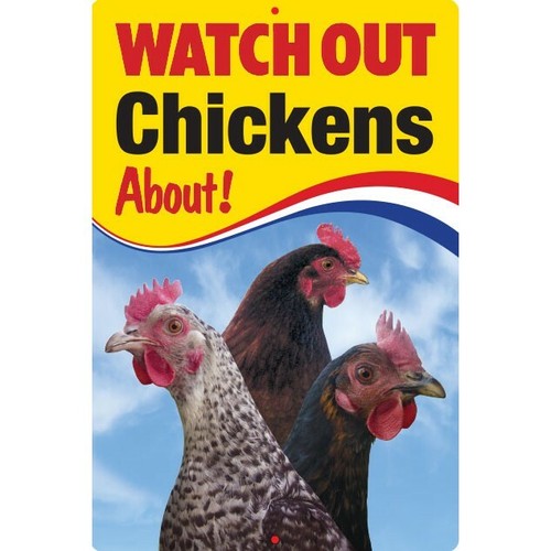 Watch out chickens about sign - watch,