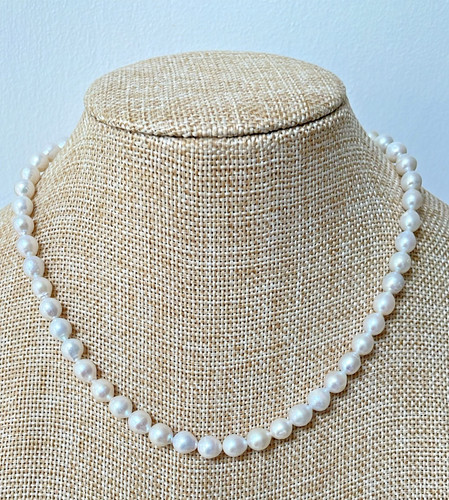 White real freshwater - white,