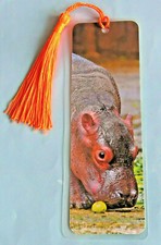 Hippos Hippopotamus Gift