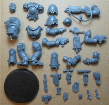 Primaris Intercessors -