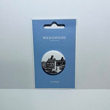 Wedgwood Pottery Pin Badge Ivy