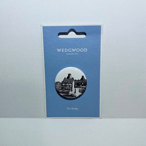 Wedgwood pottery pin - wedgwood,