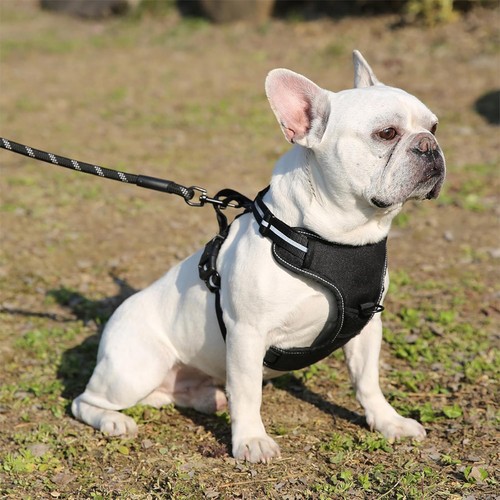 Pull adjustable soft padded - no-pull,