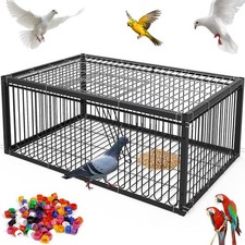 Pigeon Trap Cage Escape Proof
