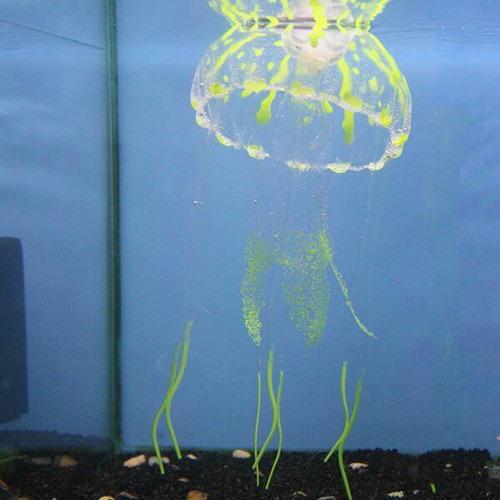 Glow the dark - in, jellyfish