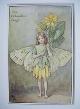 The celandine fairy - celandine,