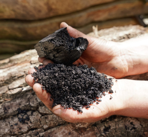 Inoculated biochar soil - biochar,