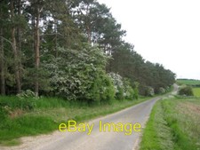 Photo 6x4 The edge of the wood