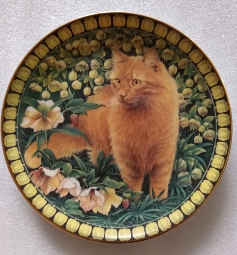Lesley anne ivory cats - ivory,