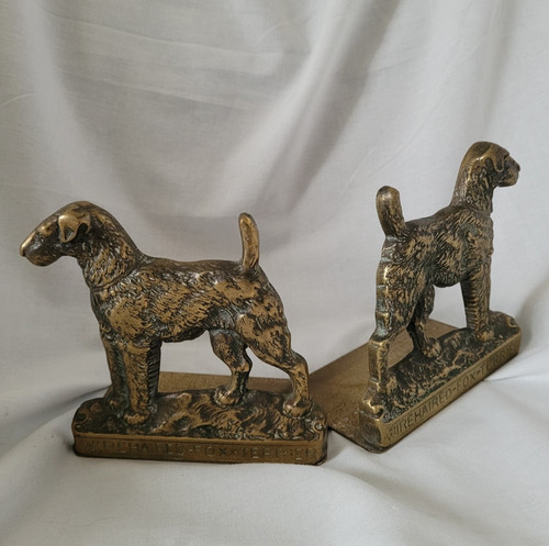 Vintage wirehaired fox terrier - vintage,
