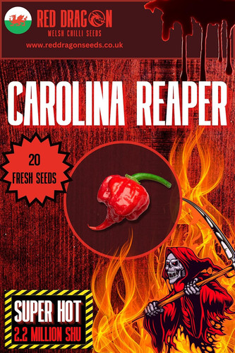 Carolina reaper chilli seeds - reaper,
