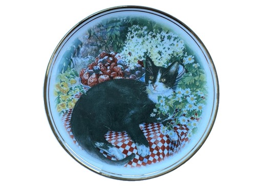 Royal vale bone china cat - royal,