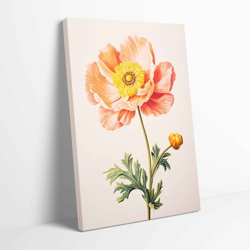Stunning peony flower - stunning,
