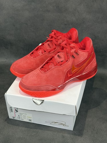 Nike zoom lebron - nike, nxxt