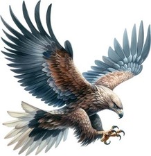 Colourful Hunting Eagle Bird