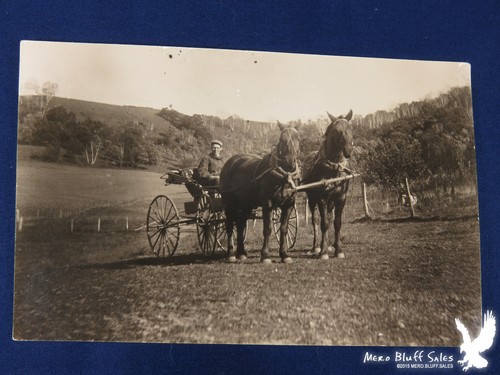 Rppc horse wheel - rppc,