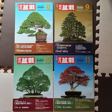 Modern Bonsai Magazines