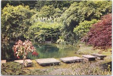 Artistic Vintage Postcard Golden Orfe Pool Chartwell Kent Gardens England