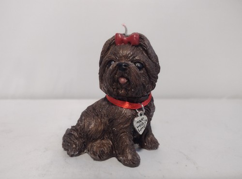 Cute little chocolate - cute,