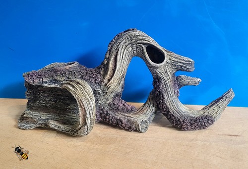 Driftwood tree root mangrove - tree,