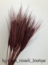 30 PCS STEMS DRIED WHEAT/RYE