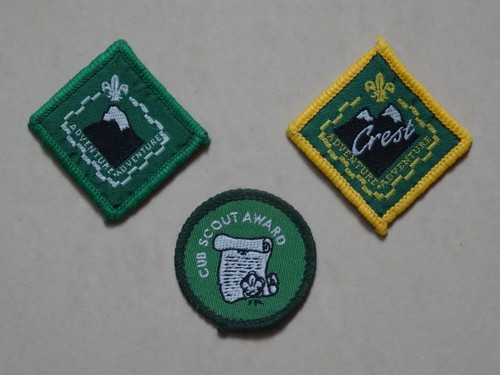 Cub scout award adventure - cub,