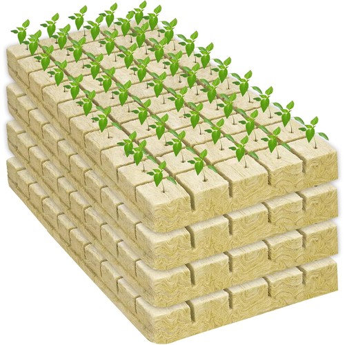 200x rockwool cubes seed - 1'',