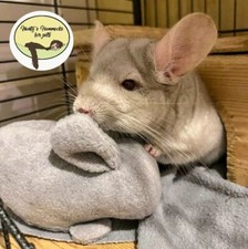 Hunty's Large Chin buddy