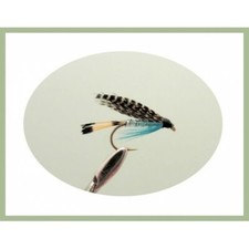Teal Blue and Silver Trout