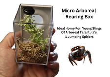 Micro Arboreal Rearing Box -