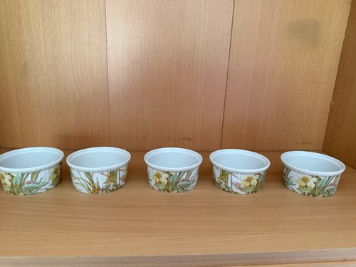 Pillivuyt porcelain france - x,