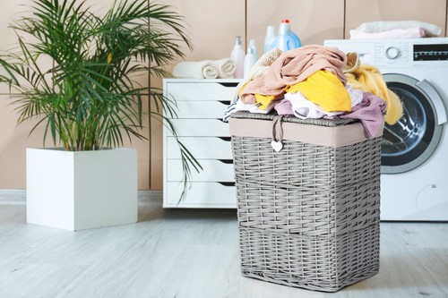 Premium grey paint laundry - paint,