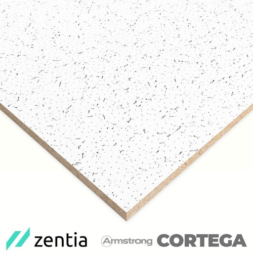 Suspended ceiling tiles - suspended,