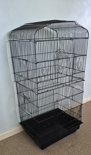 Large bird cage with - bird,