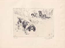 1930 SPRINGER SPANIEL DOG Print - Antique - Vernon Stokes - Art - 11 x 8.25 Inch