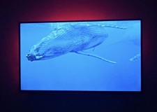 📺 JVC 50 Inch Smart TV –