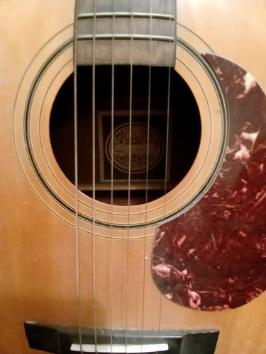 Hondo 125a acoustic - hondo,
