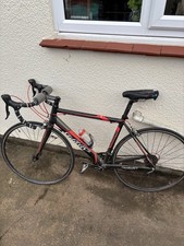 Open Box Wilier Triestina