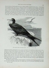 Old Antique Print Cassell'S