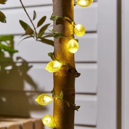 Lemon string lights - string, /