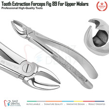Dental Tooth Extraction Upper