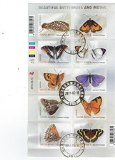 South africa butterflies - south,