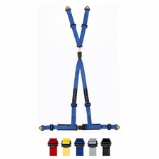 4 Point Trackday Harness